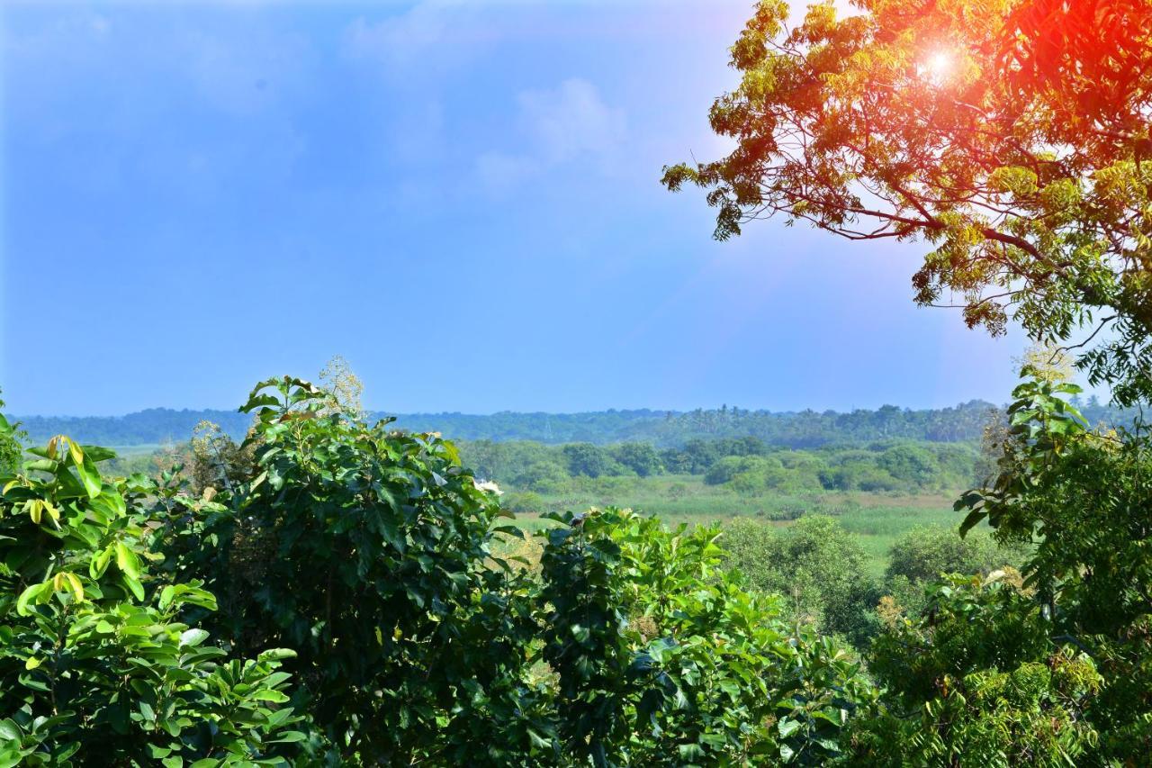 Randu Homestay And Restaurant Тангале Екстериор снимка